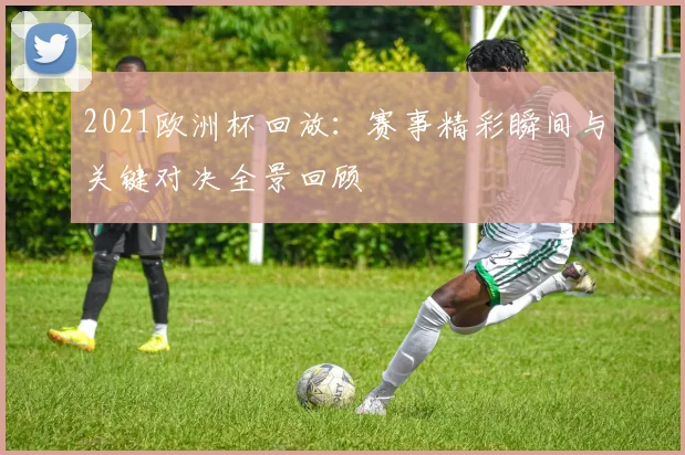 2021欧洲杯回放：赛事精彩瞬间与关键对决全景回顾