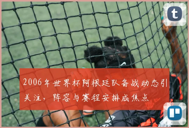 2006年世界杯阿根廷队备战动态引关注，阵容与赛程安排成焦点