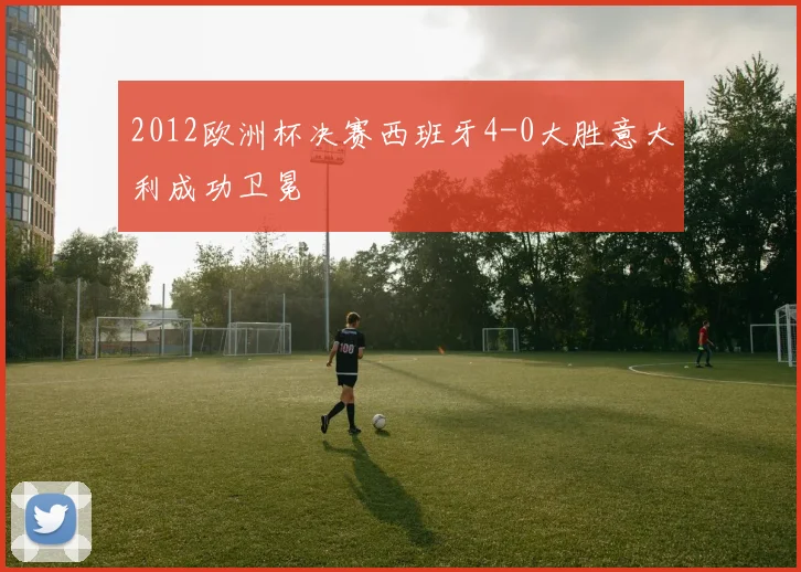 2012欧洲杯决赛西班牙4-0大胜意大利成功卫冕