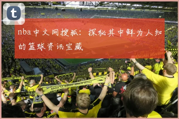 nba中文网搜狐：探秘其中鲜为人知的篮球资讯宝藏