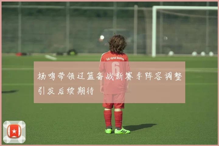 杨鸣带领辽篮备战新赛季阵容调整引发后续期待