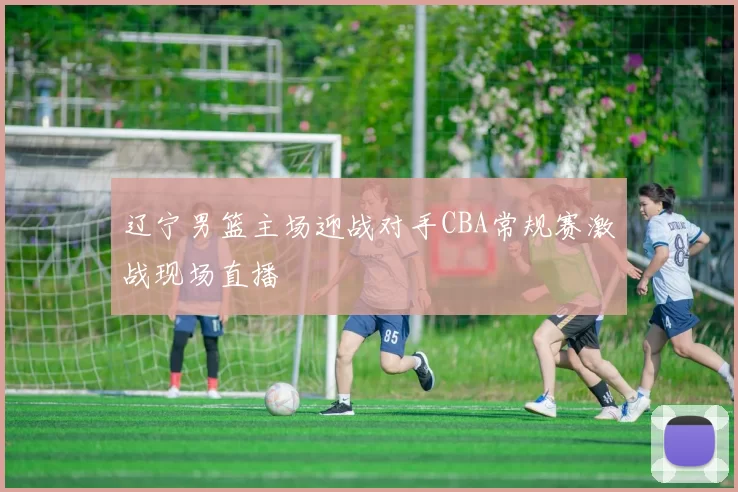 辽宁男篮主场迎战对手CBA常规赛激战现场直播